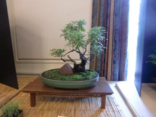 Annual Show 2011 - Extra 6 2011