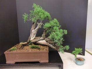 Annual Show 2011 - Extra 9 2011