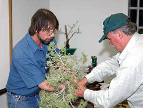 Andy Smith bonsai demonstration at GSBS 2005