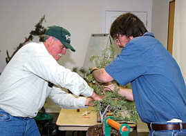 Andy Smith bonsai demonstration step 2 - trunk preparation