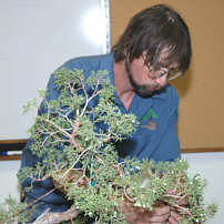 Andy Smith bonsai demonstration step 6 - deadwood creation