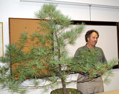 Arthur Skolnik bonsai demonstration at GSBS 2004