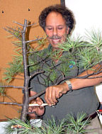 Arthur Skolnik bonsai demonstration step 3 - wiring