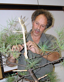 Arthur Skolnik bonsai demonstration step 5 - detail work