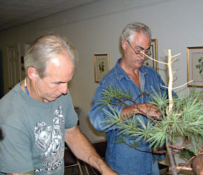 Arthur Skolnik bonsai demonstration step 7 - near-final