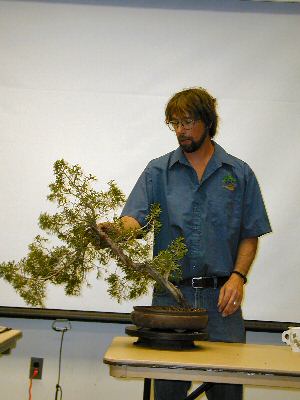Rocky Mountain Juniper bonsai by Andy Smith