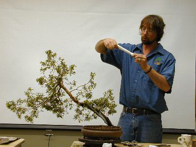 Bonsai tree styled by Andy Smith at GSBS demonstration, New Jersey bonsai workshop