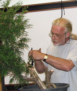 Colin Lewis bonsai demonstration step 7 - composition refinement