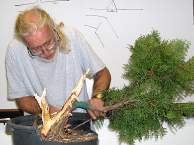 Colin Lewis bonsai demonstration - completed tree