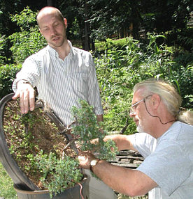 Colin Lewis conducting a bonsai workshop at GSBS in 2004