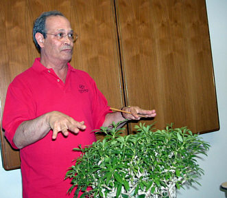 David Yedwab tropical repotting demonstration step 1