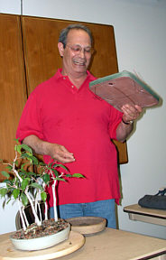 David Yedwab tropical repotting demonstration step 5 - potting