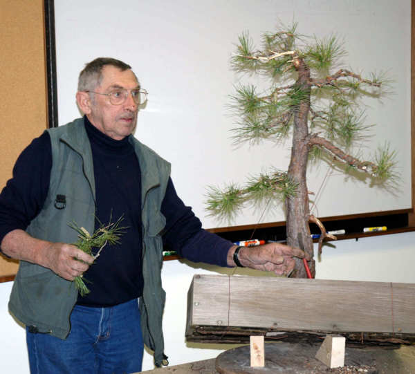 Horst Krekeler bonsai demonstration step 1 - initial tree