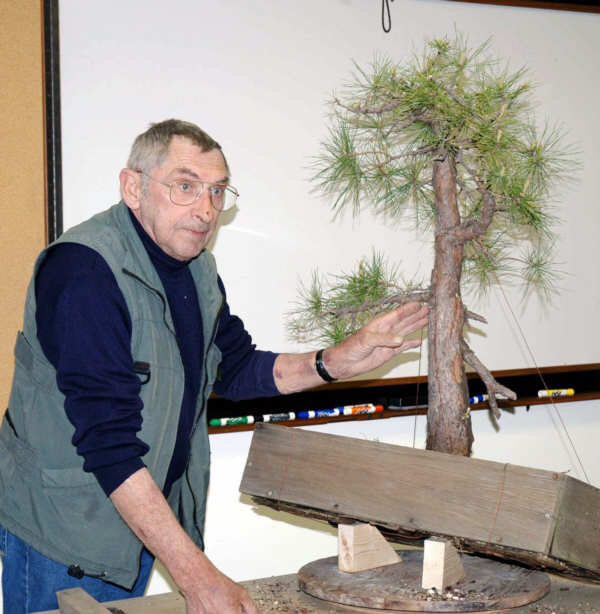 Horst Krekeler bonsai demonstration step 3 - wiring