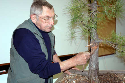 Horst Krekeler bonsai demonstration - completed styling