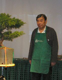 Bonsai tree by GSBS member Kato