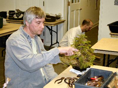 Kerry bonsai member tree display, Great Swamp Bonsai Society NJ