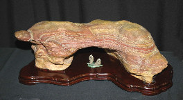 Bonsai specimen at MABS 2006