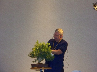 John Thompson boxwood bonsai demonstration step 5 at MABS 2012 Spring Festival, Mid-Atlantic Bonsai Societies