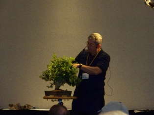 John Thompson boxwood bonsai demonstration step 6 at MABS 2012 Spring Festival, Mid-Atlantic Bonsai Societies