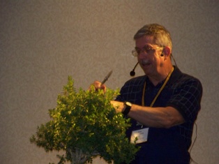 John Thompson boxwood bonsai demonstration step 7 at MABS 2012 Spring Festival, Mid-Atlantic Bonsai Societies