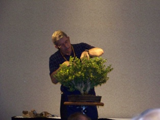 John Thompson boxwood bonsai demonstration step 8 at MABS 2012 Spring Festival, Mid-Atlantic Bonsai Societies