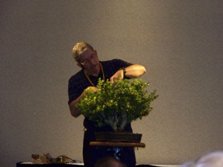 John Thompson boxwood bonsai demonstration step 9 at MABS 2012 Spring Festival, Mid-Atlantic Bonsai Societies