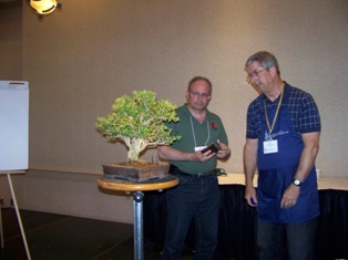 John Thompson boxwood bonsai demonstration step 11 at MABS 2012 Spring Festival, Mid-Atlantic Bonsai Societies