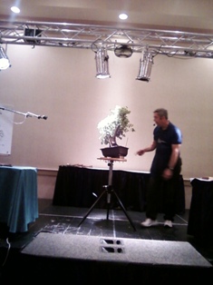 John Thompson coastal oak bonsai demonstration step 5 at MABS 2012 Spring Festival