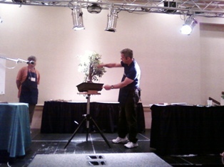 John Thompson coastal oak bonsai demonstration step 6 at MABS 2012 Spring Festival