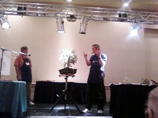 John Thompson coastal oak bonsai demonstration step 7 at MABS 2012 Spring Festival