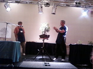 John Thompson coastal oak bonsai demonstration step 8 at MABS 2012 Spring Festival
