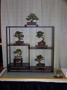 Bonsai exhibit #5 displayed at MABS 2012 Spring Festival, Mid-Atlantic Bonsai Societies