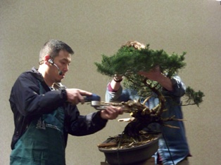 Isao Omachi juniper bonsai demonstration step 10 at MABS 2012 Spring Festival