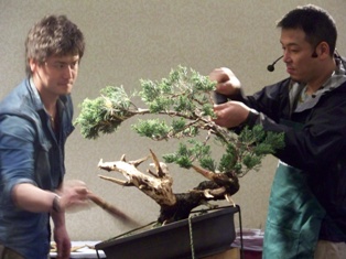Isao Omachi juniper bonsai demonstration step 12 at MABS 2012 Spring Festival
