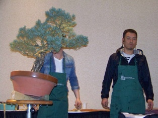 Isao Omachi Japanese black pine bonsai demonstration step 2 at MABS 2012 Spring Festival