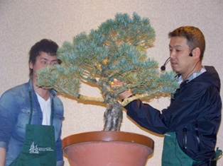 Isao Omachi Japanese black pine bonsai demonstration step 4 at MABS 2012 Spring Festival