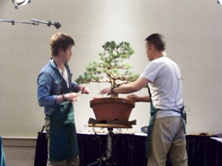 Isao Omachi Japanese black pine bonsai demonstration step 13 at MABS 2012 Spring Festival