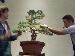 Isao Omachi Japanese black pine bonsai demonstration step 15 at MABS 2012 Spring Festival