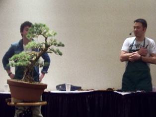Isao Omachi Japanese black pine bonsai demonstration step 19 at MABS 2012 Spring Festival