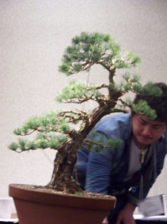 Isao Omachi Japanese black pine bonsai demonstration step 20 at MABS 2012 Spring Festival