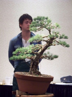 Isao Omachi Japanese black pine bonsai demonstration step 21 at MABS 2012 Spring Festival