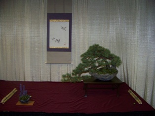 Professional bonsai exhibit #1 at MABS 2012 Spring Festival PIE, Mid-Atlantic Bonsai Societies