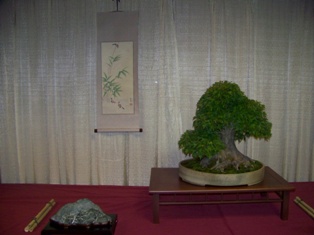 Professional bonsai exhibit #2 at MABS 2012 Spring Festival PIE, Mid-Atlantic Bonsai Societies