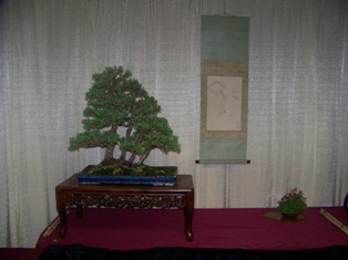 Professional bonsai exhibit #4 at MABS 2012 Spring Festival PIE, Mid-Atlantic Bonsai Societies