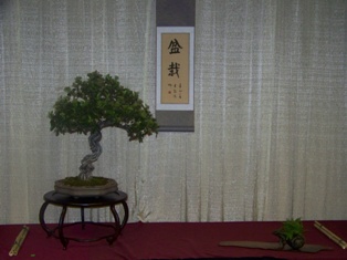 Professional bonsai exhibit #5 at MABS 2012 Spring Festival PIE, Mid-Atlantic Bonsai Societies