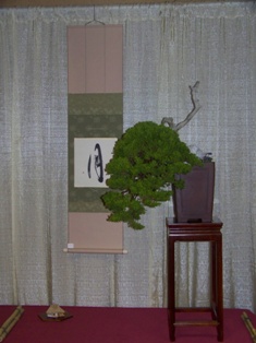 Professional bonsai exhibit #6 at MABS 2012 Spring Festival PIE, Mid-Atlantic Bonsai Societies