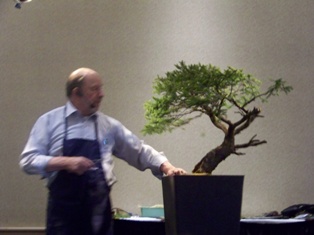 Chase Rosade hemlock bonsai demonstration step 2 at MABS 2012 Spring Festival