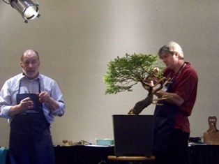 Chase Rosade hemlock bonsai demonstration step 5 at MABS 2012 Spring Festival