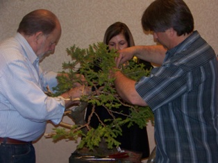 Chase Rosade hemlock bonsai demonstration step 6 at MABS 2012 Spring Festival